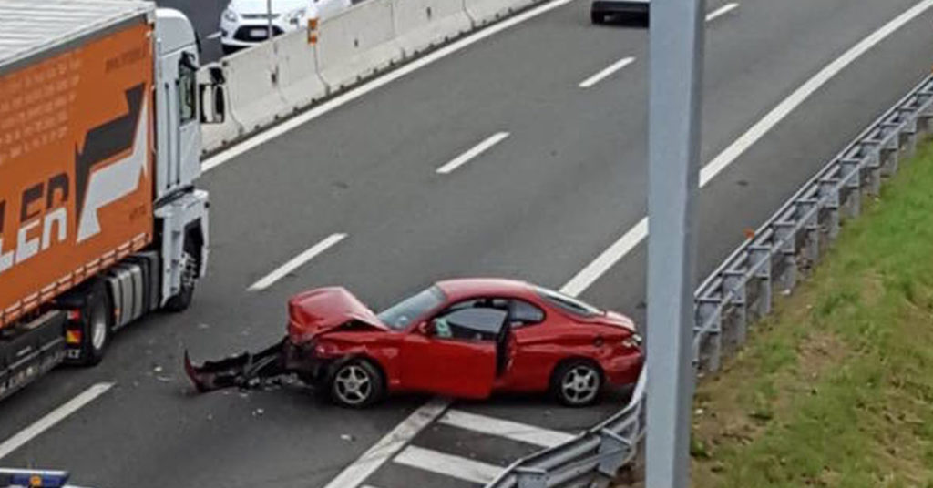 Gli incidenti causati dagli animali vengono risarciti da Autostrade per l’Italia
