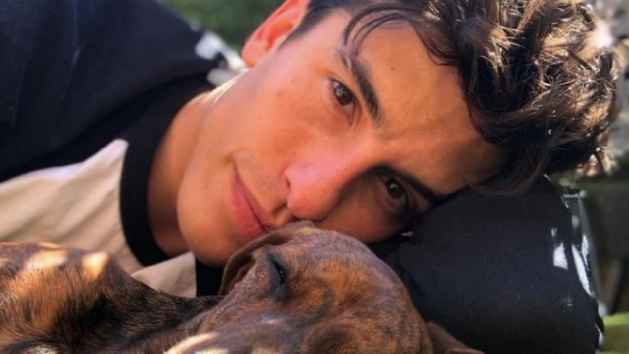 MotoGp, Marc Marquez dimesso: i suoi cani lo inondano di affetto